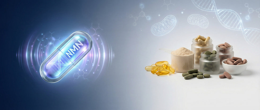Visual comparison of NMN vs longevity supplements showing NMN supporting cellular energy and other supplements providing supportive ageing benefits