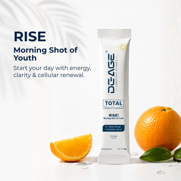 RISE 15