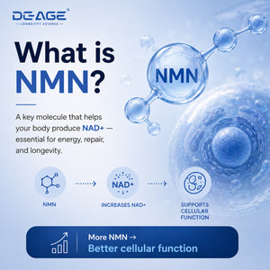 Liposomal NMN