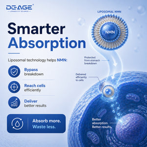 Liposomal NMN